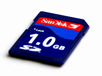 Blank 1 GB SD datacard for data storage