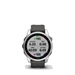 Garmin Fenix 7s Silver with Graphite Band